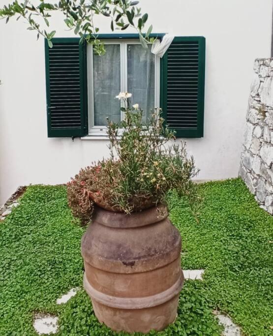 Ferienwohnung La Piazzetta Di Gra E Baldo Sestri Levante Exterior foto